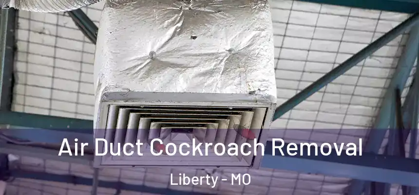  Air Duct Cockroach Removal Liberty - MO