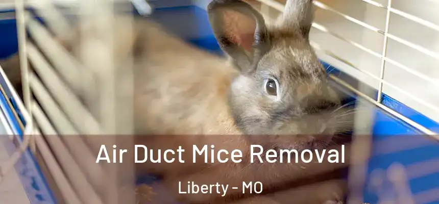  Air Duct Mice Removal Liberty - MO