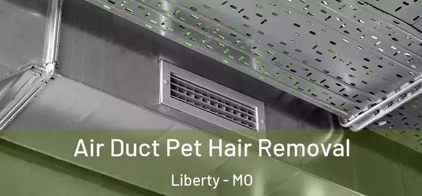 Air Duct Pet Hair Removal Liberty - MO