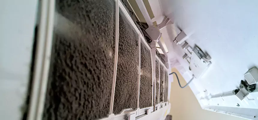 Preventive Air Duct Bacteria Removal in Liberty