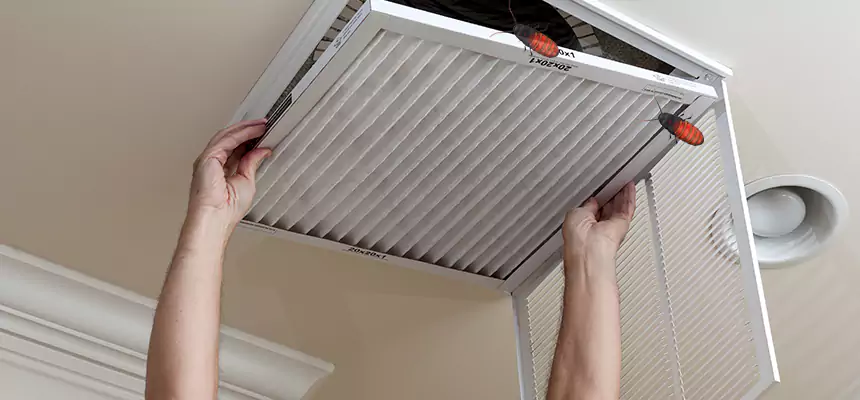 Preventive Cockroach-Proofing for Ducts in Liberty