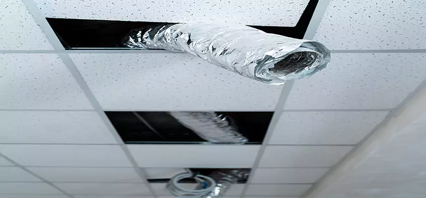 Our Air Duct Pet Hair Removal Services in Liberty, MO