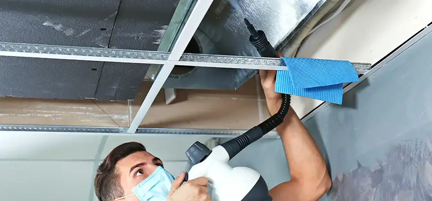 Our Air Duct Rodent Removal Services in Liberty, MO