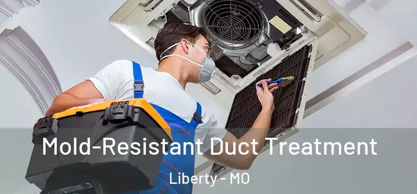  Mold-Resistant Duct Treatment Liberty - MO