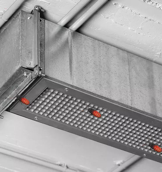 About Air Duct Cockroach Removal in Liberty, MO